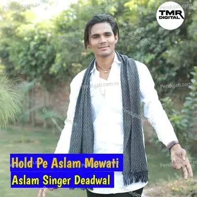 Hold Pe Aslam Mewati - Aslam Singer Deadwal album cover 