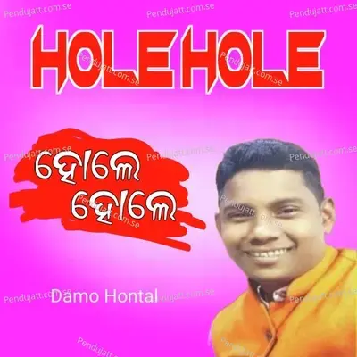 Hole Hole - Damo Hontal album cover 