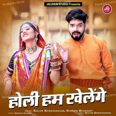 Holi Hum Kheleage - Salim Shekhawas album cover 