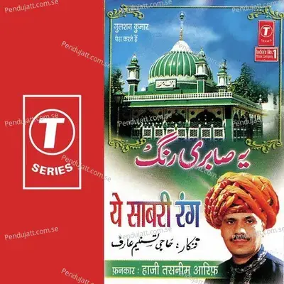 Fagun Ki Aayee - Bhushan Dua album cover 