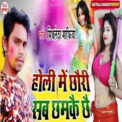 Holi Me Chhori Sab Chhamake Chhai - Mithlesh Mafia album cover 