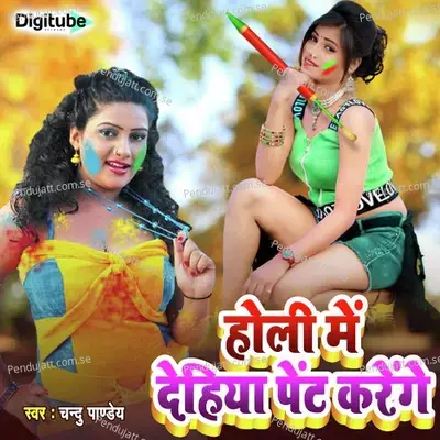 Holi Me Dehiya Paint Karege - Chandu Pandey album cover 