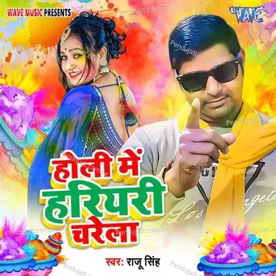 Holi Me Hariyari Charela - Raju Singh album cover 