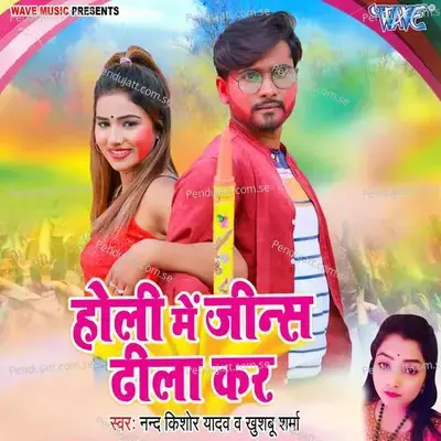 Holi Me Jins Dhila Kara - Nand Kishor Yadav album cover 