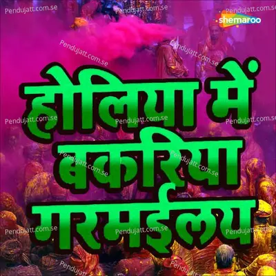 Holiya Me Bakariya Garmailay - Sanoj Diwana album cover 