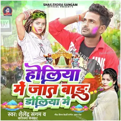 Holiya Mein Jat Badu Doliya Mein - Shailendra Sangam album cover 