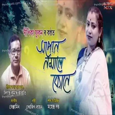 Hopun Nomale Kune - Dipika Phukan album cover 