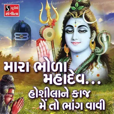 Hoshila Ne Kaaj Main To Bhaang Vaavi - Niranjan Pandya album cover 