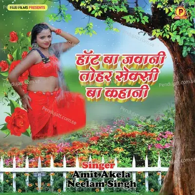 Hai Chikan Kali - Amit Akela album cover 