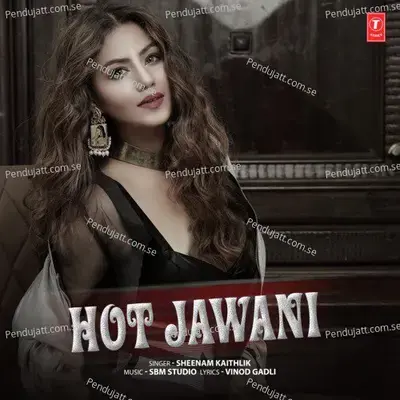 Hot Jawani - Sbm Studio album cover 