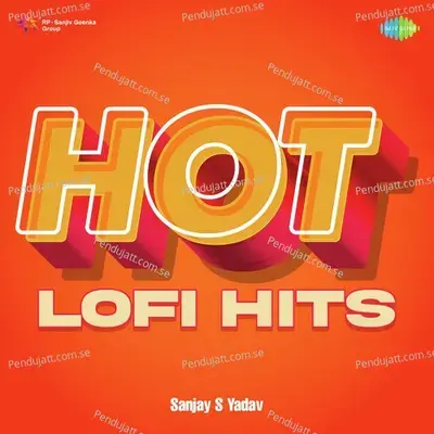 Ittefaq Se - Lofi - Sanjay S Yadav album cover 