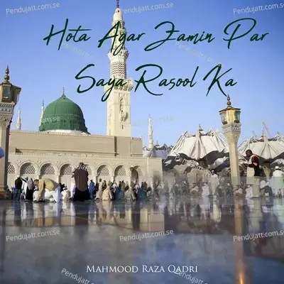 Hota Agar Zamin Par Saya Rasool Ka - Mahmood Raza Qadri album cover 