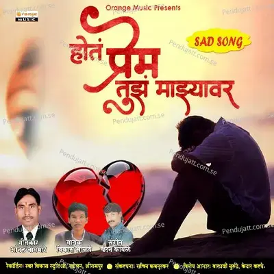 Hota Prem Tuza Mazyawar - Vikas Salve album cover 