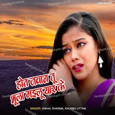 Hote Jawan Tu Bhula Gailu Yar Ke - Vishal Sharma album cover 