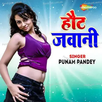 Hout Jawani - Punam Pandey album cover 