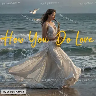 How You Do Love - Shakeel Ahmed album cover 