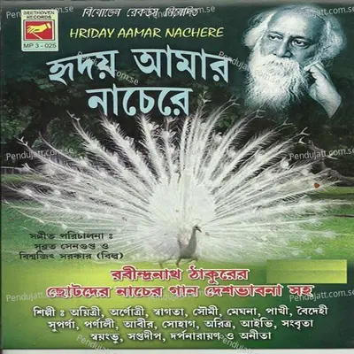 Aamra Sabai Raja - Swagata album cover 