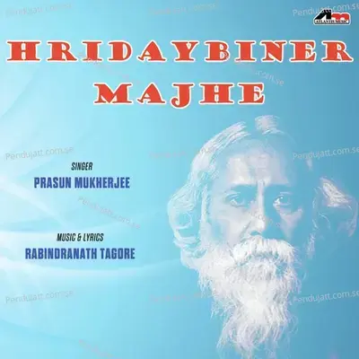 Tumi Robe Nirobe - Prasun Mukherjee album cover 