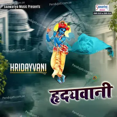 Nag Suta Sut Shyam Ko - Sanjay Pareek album cover 