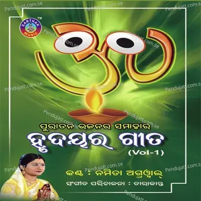 Patita Jananku Udhariba Pain - Namita Agrawal album cover 