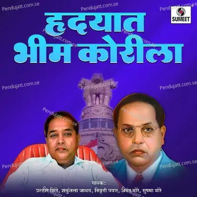 Sonbala Bhimacha Ved - Pralhad Shinde album cover 