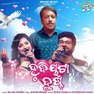 Hrudayata Dusta - Rohan Biswal album cover 