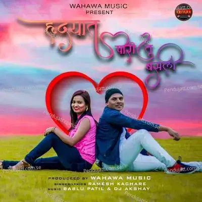 Hrudyat Pori Tu Basli - Ramesh Kachare album cover 