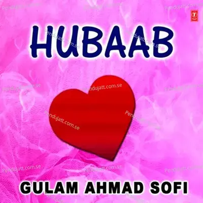 Dil Sain Makar Gamgeen - Gulam Ahmad Sofi album cover 