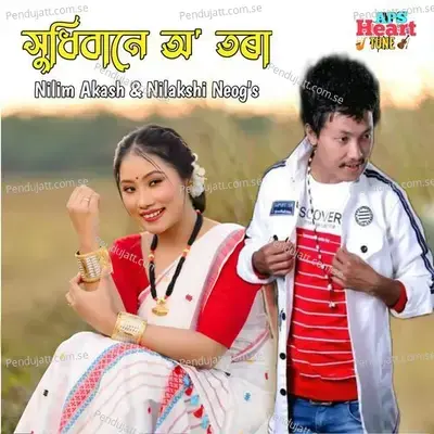 Hudhibane O Tora - Nilim Akash album cover 