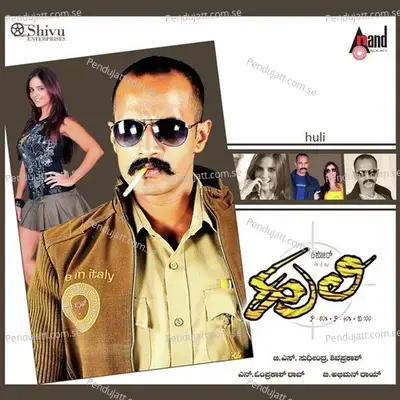 Huli - Avinash Chebbi album cover 