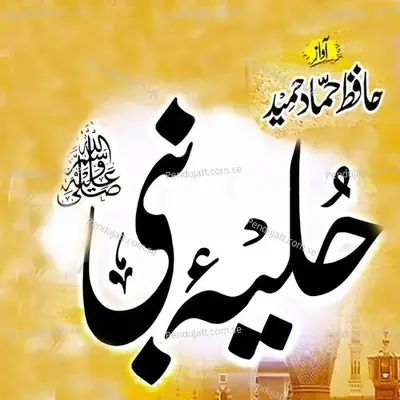 Hulya E Nabi - Hafiz Hammad Hameed album cover 