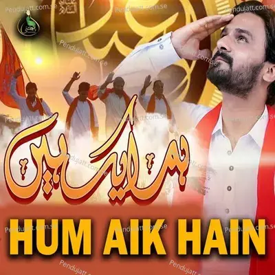 Hum Aik Hain - Shahid Ali Rizvi Panjtani album cover 