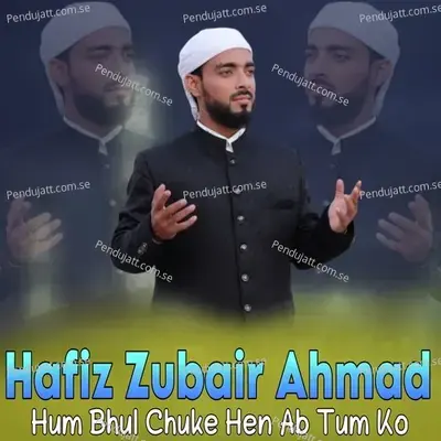 Hum Bhul Chuke Hen Ab Tum Ko - Hafiz Zubair Ahmad album cover 