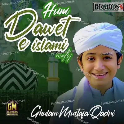 Hum Dawet E Islami Waly - Ghulam Mustafa Qadri album cover 