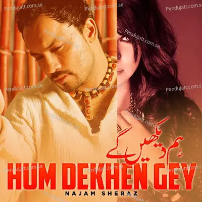 Hum Dekhen Gey - Najam Sheraz album cover 