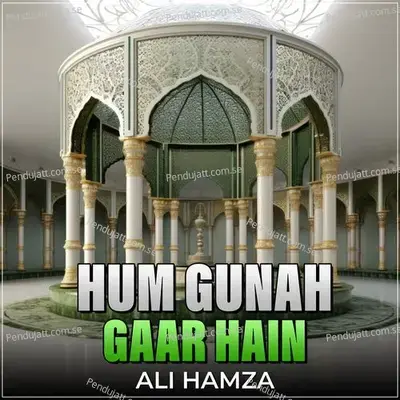 Hum Gunah Gaar Hain - Ali Hamza album cover 
