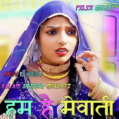 Hum Hai Mewati - Aslam Singer Mewati album cover 