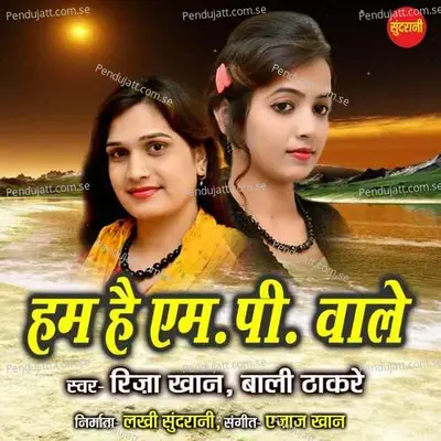 Hum Hai Mp Wale - Riza Khan album cover 