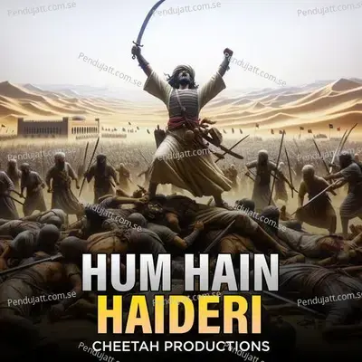 Hum Hain Haideri - Cheetah Productions album cover 