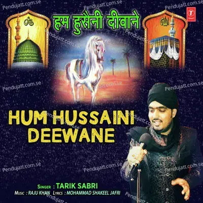 Hum Hussaini Deewane - Tarik Sabri