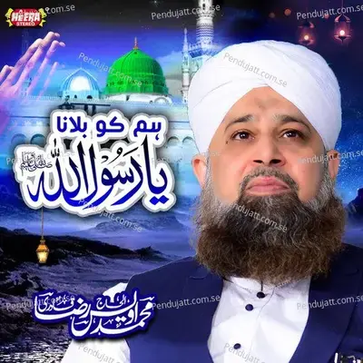 Dekhte Kya Ho Ahle Safa - Alhajj Muhammad Owais Raza Qadri album cover 