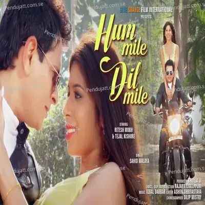 Hum Mile Dil Mile - Sahid Malaya album cover 