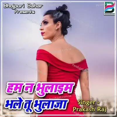 Hum Na Bhulaim Bhale Tuhi Bhulaja - Vaibhav Nishant cover album
