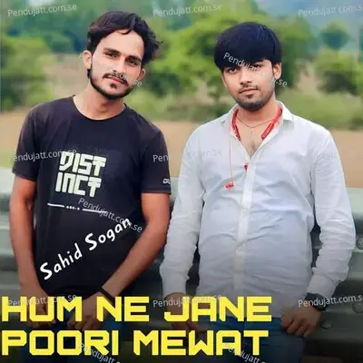 Hum Ne Jane Poori Mewat - Sahid Sogan album cover 