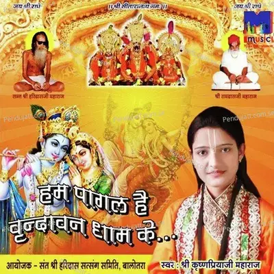 Radhe Krishna Radhe - Krishna Priya Ji Maharaj album cover 