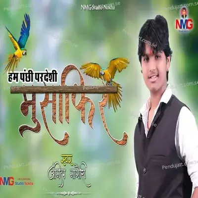 Hum Panchi Pardeshi Musafir - Anil Nagori album cover 