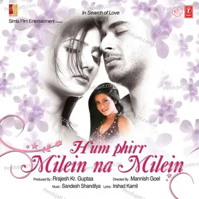 Hum Phirr Milein Na Milein - Nishant Mudgal album cover 