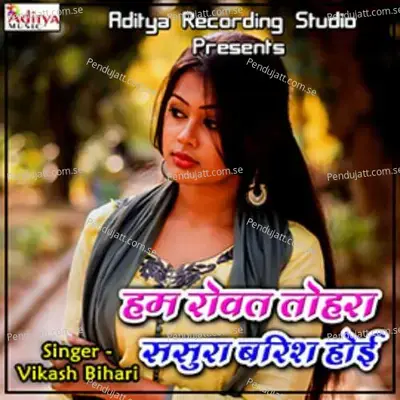 Dil Me Lagal Aag - Vikash Bihari album cover 