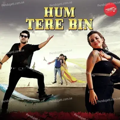 Hum Tere Bin - Altamash Faridi album cover 