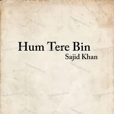 Hum Tere Bin - Sajid Khan album cover 